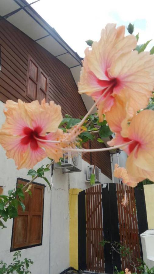 Experience Island Heritage Home Pantai Kok Exteriör bild